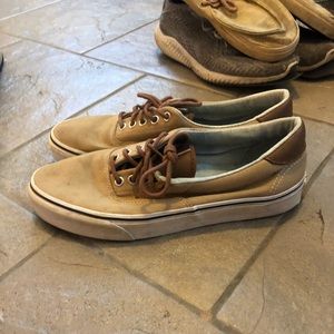Vans shoes